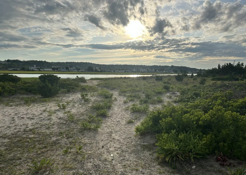 The sandy path through the Rexhame dunes in Marshfield, MA, looking across the South River marsh